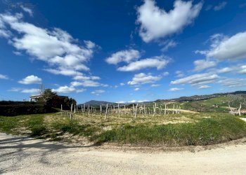 Foto 40 - Rustico Contrada San Venanzo
 
snc, Castignano - foto 40