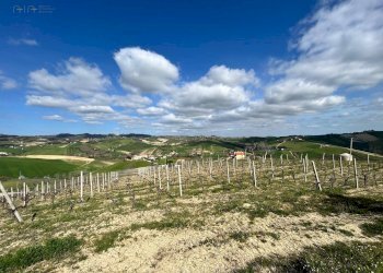 Foto 41 - Rustico Contrada San Venanzo
 
snc, Castignano - foto 41