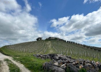 Foto 51 - Rustico Contrada San Venanzo
 
snc, Castignano - foto 51