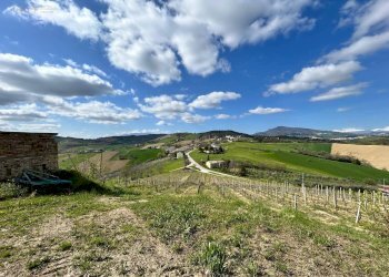 Foto 53 - Rustico Contrada San Venanzo
 
snc, Castignano - foto 53