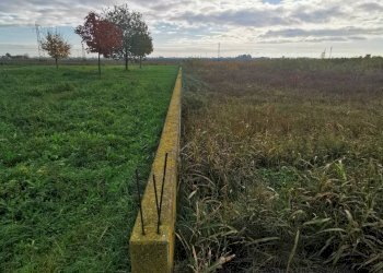 Foto 2 - Terreno edificabile Musile di Piave - foto 2