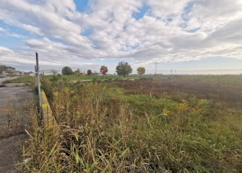 Foto 3 - Terreno edificabile Musile di Piave - foto 3