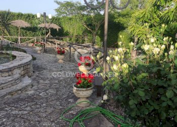 ESTERNO - Villa C.da Lama Cipriani
 
snc, Gravina in Puglia - foto 30