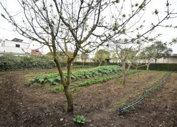 ESTERNO - Villa C.da Lama Cipriani
 
snc, Gravina in Puglia - foto 40