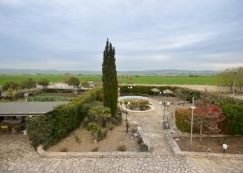 ESTERNO - Villa C.da Lama Cipriani
 
snc, Gravina in Puglia - foto 43