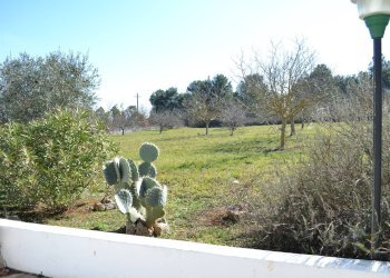 ESTERNO - Baita Contrada Guardariello
 
snc, Ostuni - foto 19