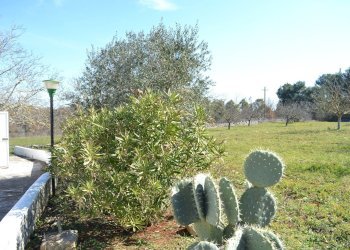 ESTERNO - Baita Contrada Guardariello
 
snc, Ostuni - foto 24