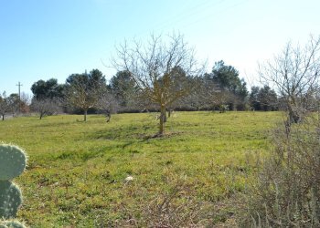 ESTERNO - Baita Contrada Guardariello
 
snc, Ostuni - foto 25
