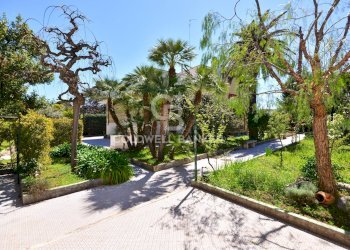 Giardino - Villa VIA NAPOLI
 
7, Bari - foto 20