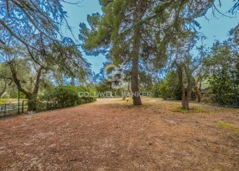 Foto 27 - Rustico Contrada Tauro
 
snc, Bitonto - foto 27