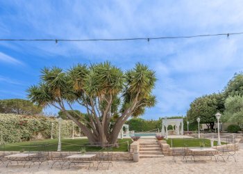 Foto 6 - Rustico Via Patierno
 
Snc, Bitonto - foto 6