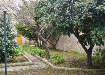 Foto 19 - Villa Viale del Pino
 
14, Bari - foto 19