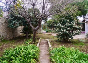 Foto 20 - Villa Viale del Pino
 
14, Bari - foto 20