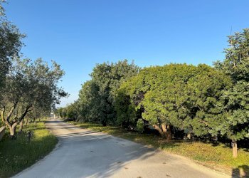 Foto 48 - Rustico Marina di Ostuni
 
Snc, Ostuni - foto 48