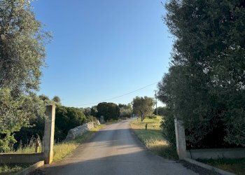 Foto 49 - Rustico Marina di Ostuni
 
Snc, Ostuni - foto 49