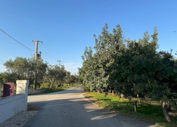 Foto 50 - Rustico Marina di Ostuni
 
Snc, Ostuni - foto 50