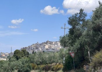 Foto 16 - Villa Via Vecchia Gravina
 
Sc, Minervino Murge - foto 16