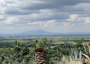 Foto 17 - Villa Via Vecchia Gravina
 
Sc, Minervino Murge - foto 17