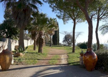 Foto 20 - Villa Via Vecchia Gravina
 
Sc, Minervino Murge - foto 20