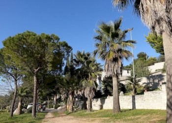 Foto 27 - Villa Via Vecchia Gravina
 
Sc, Minervino Murge - foto 27