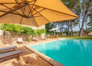 Foto 3 - Rustico Strada Comunale Santo Stefano
 
Nc, Conversano - foto 3