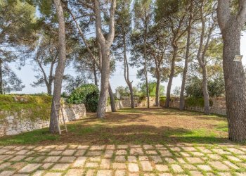 Foto 6 - Rustico Strada Comunale Santo Stefano
 
Nc, Conversano - foto 6