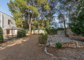 Foto 11 - Rustico Strada Comunale Santo Stefano
 
Nc, Conversano - foto 11