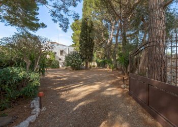 Foto 13 - Rustico Strada Comunale Santo Stefano
 
Nc, Conversano - foto 13