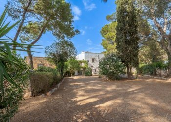 Foto 14 - Rustico Strada Comunale Santo Stefano
 
Nc, Conversano - foto 14