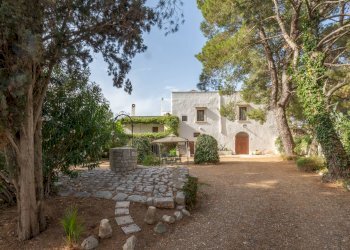 Foto 15 - Rustico Strada Comunale Santo Stefano
 
Nc, Conversano - foto 15