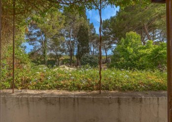 Foto 36 - Rustico Strada Comunale Santo Stefano
 
Nc, Conversano - foto 36