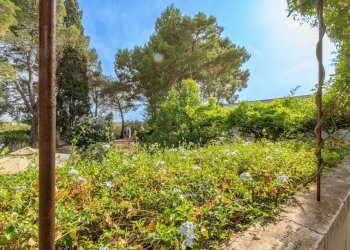 Foto 39 - Rustico Strada Comunale Santo Stefano
 
Nc, Conversano - foto 39