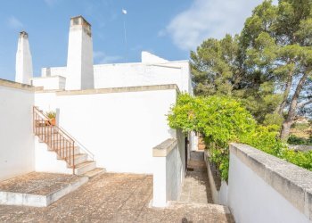 Foto 44 - Rustico Strada Comunale Santo Stefano
 
Nc, Conversano - foto 44