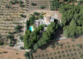 Foto 84 - Rustico Strada Comunale Santo Stefano
 
Nc, Conversano - foto 84