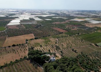 Foto 86 - Rustico Strada Comunale Santo Stefano
 
Nc, Conversano - foto 86