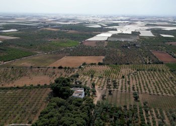 Foto 87 - Rustico Strada Comunale Santo Stefano
 
Nc, Conversano - foto 87