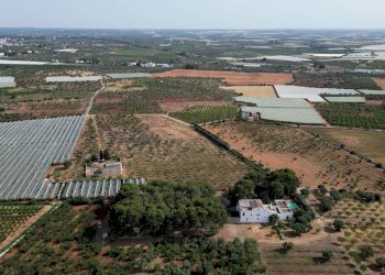 Foto 88 - Rustico Strada Comunale Santo Stefano
 
Nc, Conversano - foto 88