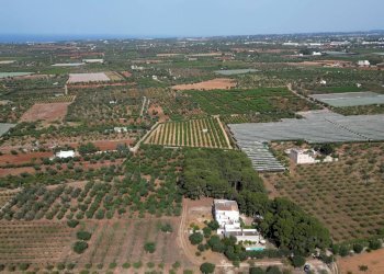 Foto 90 - Rustico Strada Comunale Santo Stefano
 
Nc, Conversano - foto 90