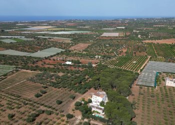 Foto 91 - Rustico Strada Comunale Santo Stefano
 
Nc, Conversano - foto 91