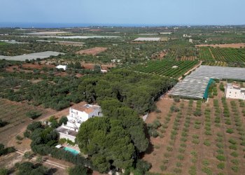 Foto 93 - Rustico Strada Comunale Santo Stefano
 
Nc, Conversano - foto 93