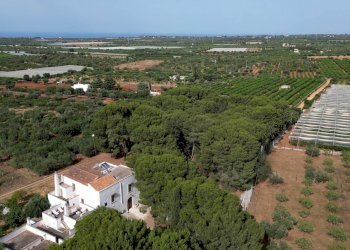 Foto 94 - Rustico Strada Comunale Santo Stefano
 
Nc, Conversano - foto 94