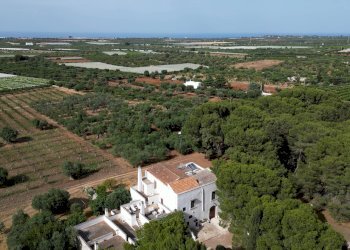 Foto 95 - Rustico Strada Comunale Santo Stefano
 
Nc, Conversano - foto 95