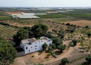 Foto 97 - Rustico Strada Comunale Santo Stefano
 
Nc, Conversano - foto 97