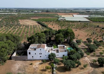 Foto 98 - Rustico Strada Comunale Santo Stefano
 
Nc, Conversano - foto 98