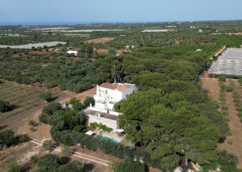 Foto 100 - Rustico Strada Comunale Santo Stefano
 
Nc, Conversano - foto 100