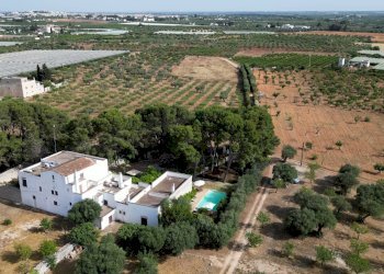 Foto 101 - Rustico Strada Comunale Santo Stefano
 
Nc, Conversano - foto 101