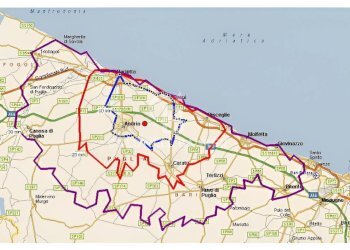 Foto 5 - Terreno edificabile Strada Provinciale Andria Bisceglie
 
Sn, Andria - foto 5