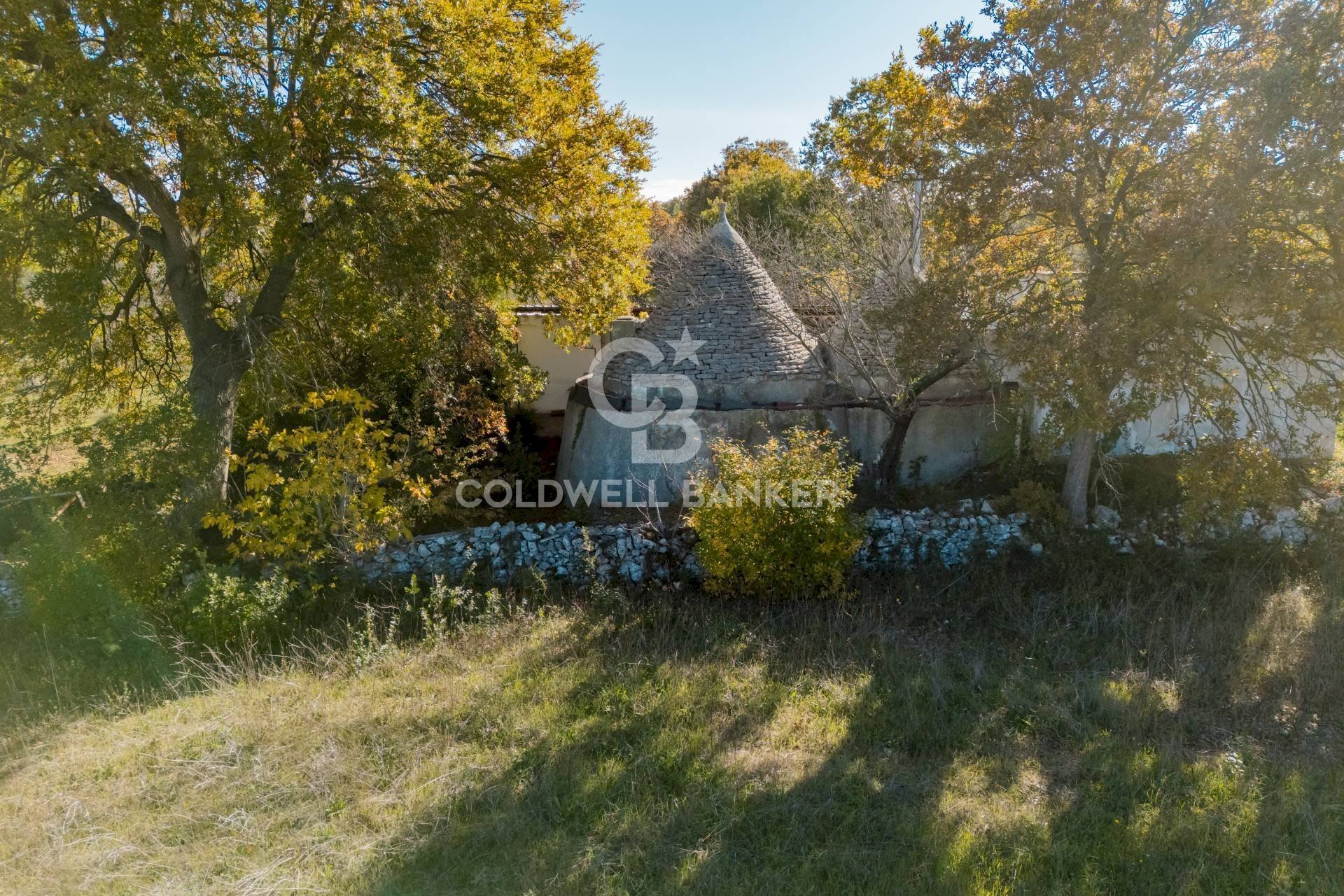 Foto 2 - Baita STRADA COMUNALE PARCO GRANDE
NC, Putignano - photo 2