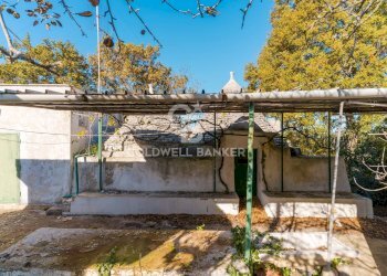 Foto 6 - Baita STRADA COMUNALE PARCO GRANDE
 
NC, Putignano - foto 6