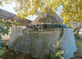 Foto 12 - Baita STRADA COMUNALE PARCO GRANDE
 
NC, Putignano - foto 12